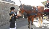 Scilly Carriages